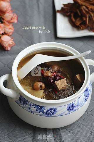 山药桂圆炖甲鱼的做法步骤:7