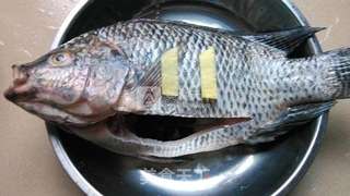 豆豉蒸鱼的做法步骤:2