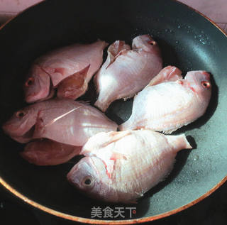 香煎鲷鱼的做法步骤:3