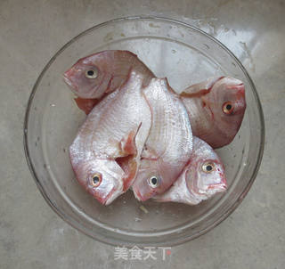 香煎鲷鱼的做法步骤:2