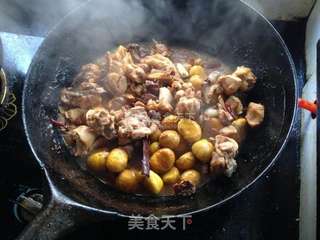 板栗烧鸡的做法步骤:10