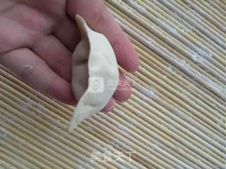 韭菜猪肉水饺的做法步骤:5