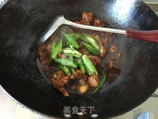 红烧鸡块的做法步骤：9