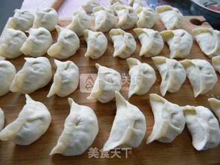 羊肉萝卜馅饺子的做法步骤:9