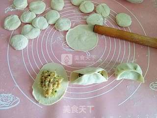 羊肉萝卜馅饺子的做法步骤:8
