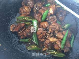 红烧鸡块的做法步骤：10