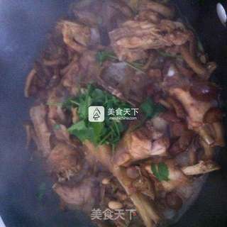 小鸡炖滑子蘑的做法步骤:7