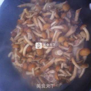 小鸡炖滑子蘑的做法步骤:6