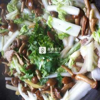 白菜炒滑子蘑的做法步骤:6