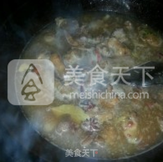红烧大雁的做法步骤:10