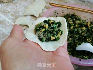 韭菜粉丝麻叶子扁食的做法步骤：16