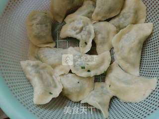 韭菜粉丝麻叶子扁食的做法步骤：19