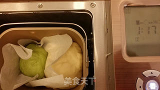 东菱麦旋风之双色抹茶土司的做法步骤:7