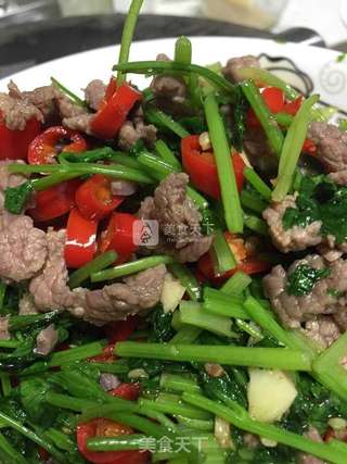 小炒牛肉的做法步骤:6