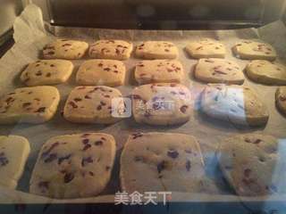 蔓越莓饼干的做法步骤：9
