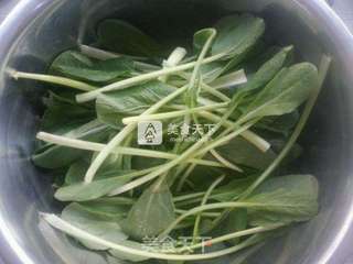番茄排骨面的做法步骤：15
