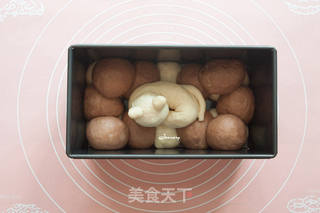 懒猫吐司的做法步骤:12