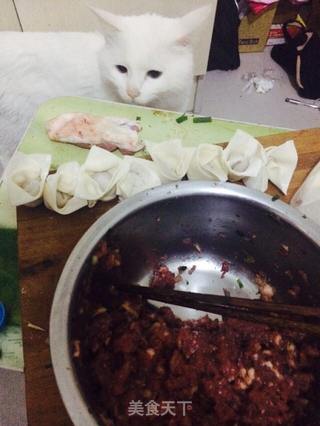 牛肉馄饨的做法步骤:5