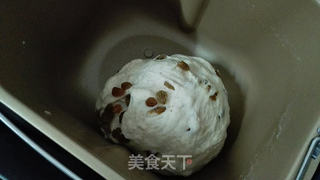 全麦葡萄干吐司的做法步骤:2