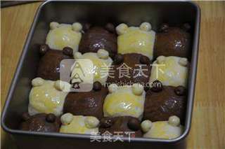 萌萌哒——双色小熊豆沙包的做法步骤:9