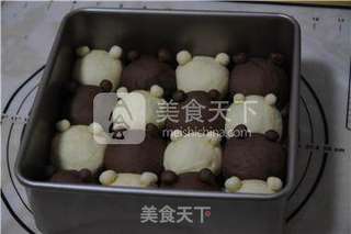 萌萌哒——双色小熊豆沙包的做法步骤:8
