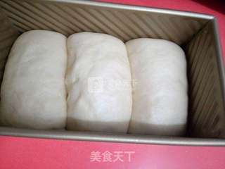 蔓越莓土司——70%中种法的做法步骤:15