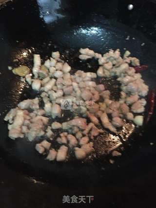 肉丁茄烧豆的做法步骤:9