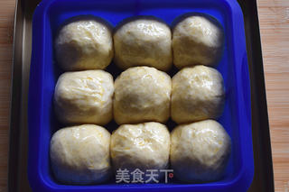 豆沙餐包的做法步骤:9