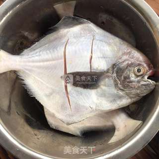 红烧鲳鳊鱼的做法步骤:3