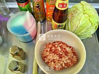 白菜猪肉糜锅贴的做法步骤:4
