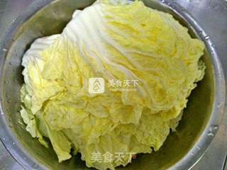 白菜猪肉糜锅贴的做法步骤:5