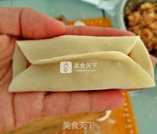 白菜猪肉糜锅贴的做法步骤:16