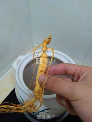 人参鹿茸鸡腿玉米虫草汤的做法步骤:4