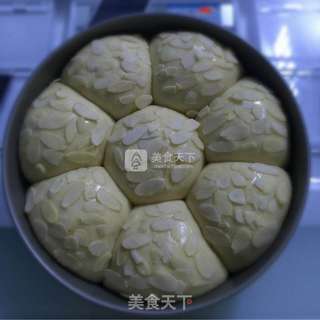马铃薯面包的做法步骤:11
