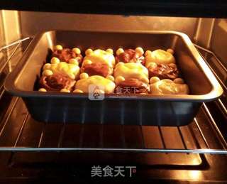 双色挤挤小熊面包的做法步骤:17