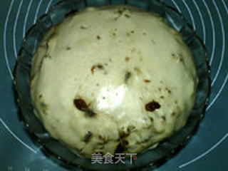 浓郁肉桂葡萄干核桃面包的做法步骤：13