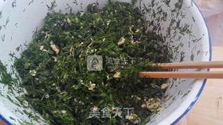 茴香鸡蛋包子的做法步骤:7