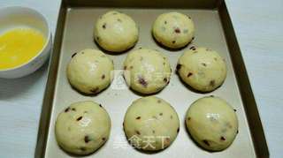 奶酥蔓越莓面包的做法步骤:7