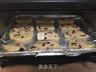 蔓越莓炼乳饼干（新手经验教程）的做法步骤：9