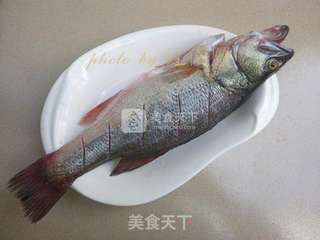 姜香鲈鱼的做法步骤:3