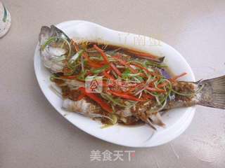 姜香鲈鱼的做法步骤:12