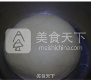 【溜溜光南瓜小馒头】---大胖南瓜变身小胖馒头的做法步骤:6