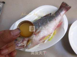 姜香鲈鱼的做法步骤:7