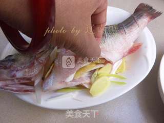 姜香鲈鱼的做法步骤:6
