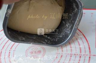胡萝卜鸡蛋大包子的做法步骤:7