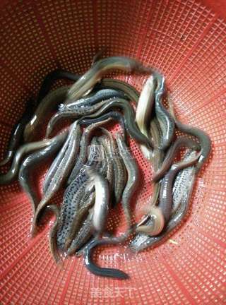 煎泥鳅的做法步骤:2