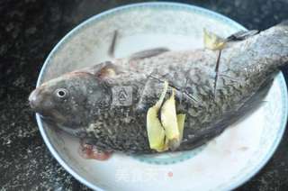 茄汁鲫鱼的做法步骤:2