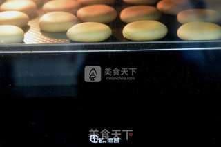 玫瑰花饼的做法步骤:8