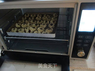 椰丝蔓越莓曲奇的做法步骤:9