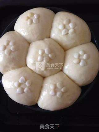 超柔软杏仁餐包的做法步骤:6